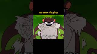 চোর খরগোশ ও হিংস্র সিংহ🤣bengali new cartoon cartoon 3danimation [upl. by Eidderf806]