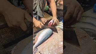 Amazing Hilsa Fish Cutting Skills In Bangladesh Local Fish Market shorts [upl. by Denby]