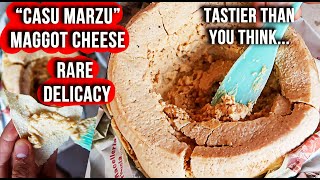 Eating The Worlds Most Dangerous Cheese Casu Marzu Rare Tasty amp w Maggots  Sardinian Delicacy [upl. by Leoy246]