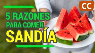 5 RAZONES PARA COMER SANDÍA  Ciencia de la Comida [upl. by Eliza]