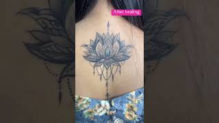 Tattoo aftercare Dermalize remove [upl. by Akelam82]