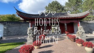 Hortus Botanicus HarenGroningen Chinese tuin [upl. by Conni]