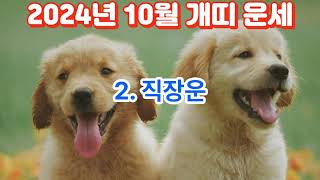 2024년10월 개띠 운세Dog Horoscope for October 2024띠별운세 지식 동물 사주 이슈 사람 운세 소식 좋은글 운을 [upl. by Ogir688]