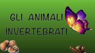 Gli animali invertebrati in sintesi [upl. by Aicatsue]