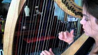 Pachelbels Canon in D on Dusty Strings Ravenna 34 lever harp [upl. by Alket350]