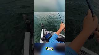 Lake Lanier July Fishing [upl. by Hadik305]