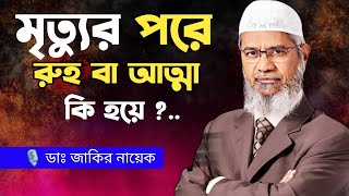 রুহ কি । মৃত্যুর পরে আত্মার কোথায় থাকে। Dr Zakir Naik Bangla Lecture । [upl. by Ancell]