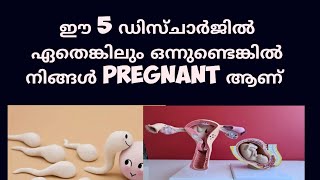 5 different types of early Pregnancy discharge Malayalam Deechus world [upl. by Panta]