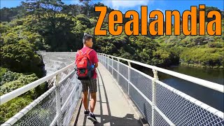 Zealandia Wellington New Zealand Long version [upl. by Amsab]