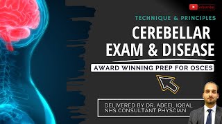 Cerebellar Examination amp Pathology  Neurology  BEST OSCE Preparation for Medical Student Exams [upl. by Bashuk]