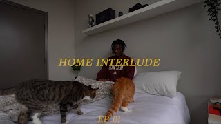 Home interlude  Morning routine Togo sofa amp LitterRobot 3 unboxing and QampA [upl. by Ryle766]