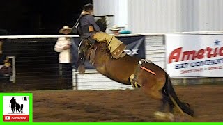 Youth Bronc Riding  2020 Motley  Dickens Old Settlers Rodeo  Saturday [upl. by Haraf]