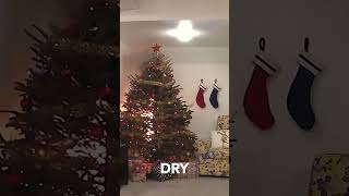 Dry vs Watered Christmas Tree FIRE [upl. by Conny]