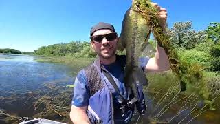 Big Bass and Catfish  Turner Lake Kayak Fishing Chain O Lakes state Park Illinois Fishing tips [upl. by Yelmene]