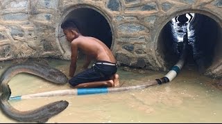 how to catch fish by hand in Cambodia  Cambodian Traditional Fishing part 11 [upl. by Osei]