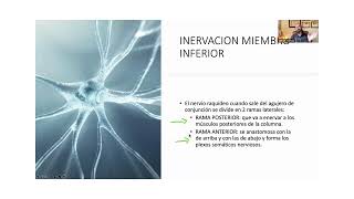 PONENCIA 6 « Hatologia técnica de relajación miofascial de la zona lumbosacra«Jesús Cornejo [upl. by Aveneg]