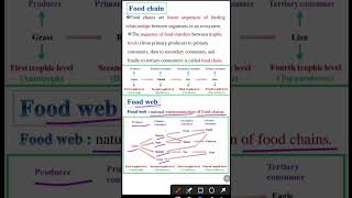 Food chain  Food web  Ecosystem class 12 [upl. by Holsworth72]