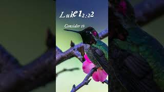 Luke 122226 bibleverse love jesuslovesaves jesusmessage jesuschrist faithhopelove jesus [upl. by Amaris]