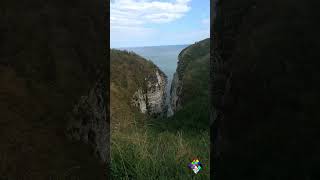 Bempton Cliffs 16082024 cliff cliffs eastyorkshire [upl. by Fanya]