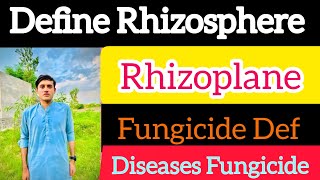 Define Rhizosphere  Rhizoplane  Fungicide Definition [upl. by Moorish559]