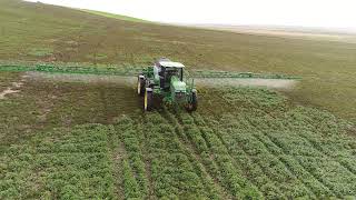 Automated SpotSpraying Specific Weed in Emerged Crop [upl. by Tiffani]