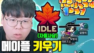 결국 출시된 메이플스토리 키우기 자동사냥방치모드까지 ㅁㅊㅋㅋ 테스터훈 [upl. by Neram]