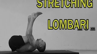 Stretching Parte 10 Lombari [upl. by Damal]