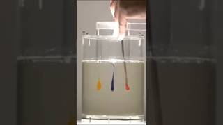 Laminar effect sciencefacts science knowledge facts [upl. by Solegna]