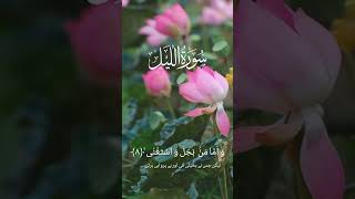 Surah Al Lail beautiful voice qari Aaar Al Hudhoudi [upl. by Anse]