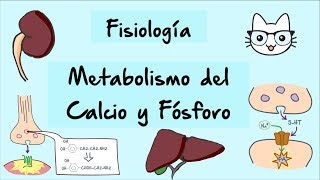 Metabolismo del calcio y fosforo parte 1 [upl. by Annotahs]