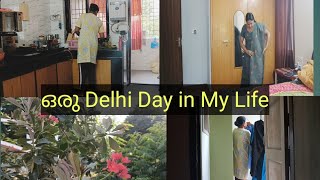 Tani Malayali വീട്ടമ്മ🏠  NorthIndian Kerala Mom Routine  Home Vlog  Temple Visit Delhi Malayalam [upl. by Nolyaj]