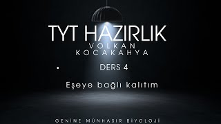 Kalıtım Ders 4 Eşeye bağlı kalıtım [upl. by Eirffej]