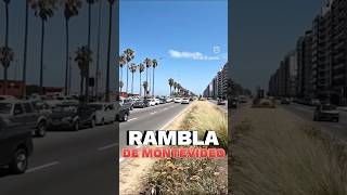 RAMBLA de montevideo en URUGUAY así son [upl. by Leff]