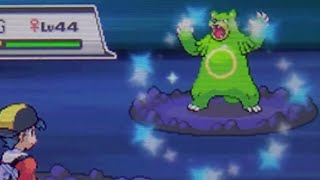 Live Shiny Ursaring After 3347 REs Pokemon SoulSilver [upl. by Ahsahtan]