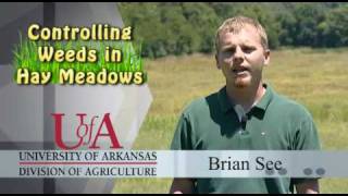 Controlling Weeds in Hay Meadows [upl. by Adur694]