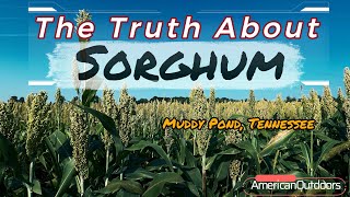 The Truth About Sorghum Plus A Trip To Muddy Pond Tn [upl. by Hallutama73]