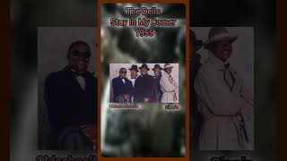 old school The Marvelous Dells Stay In My Corner [upl. by Yesoj]