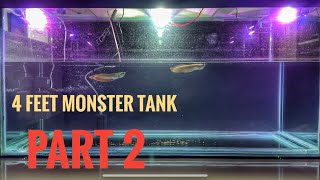 4 feet monster tank 💀 setup  Part 2   Arowana tank  By Vishal [upl. by Brodeur]