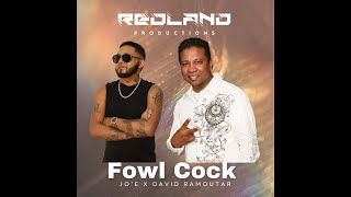 Fowl Cock  JoE x David Ramoutar  Chutney Soca 2024 [upl. by Sivi]