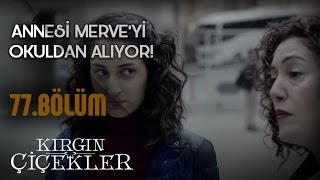 Kırgın Çiçekler 77Bölüm  YGS’de başarısız olan Merve [upl. by Adnirim888]