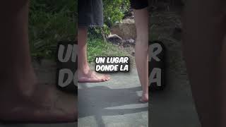 Caminar descalzo sin zapatos el sueño de vivir en Australia sin quedar sucio 🦶￼￼🤔 Shorts [upl. by Kostman]