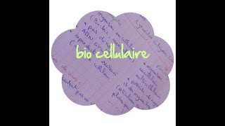 Cours biologie cellulaire partie 13 les endosomes les lysosomes et les peroxysomes [upl. by Vange419]