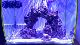 My new NANO Reef Tank setup Update 1 [upl. by Nrublim]