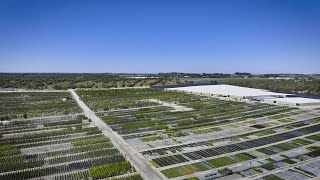 The Garden Gurus  Commercial Seedling Production at Benara Nurseries [upl. by Oates]