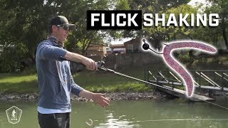 How To Fish A Flick Shake  Finesse Fishing Tips from LakeForkGuy [upl. by Eibor]