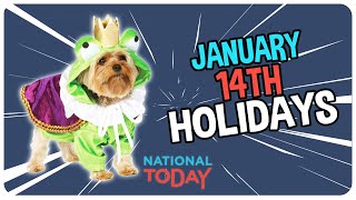 TOP 3 HOLIDAYS to CELEBRATE on January 14th  National Today [upl. by Grimonia904]