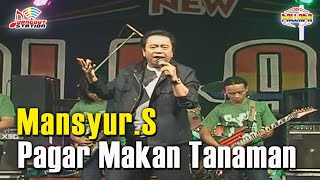 Mansyur S  Pagar Makan Tanaman Official Music Video [upl. by Nywg894]