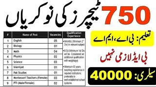 Government Schools Teachers Jobs 2024  Educators Jobs 2024 Announced [upl. by Luebke]