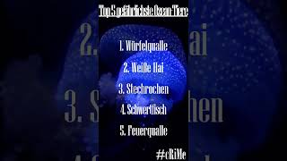 Top 5 gefährlichste Ozean Tiere [upl. by Goodspeed559]