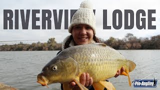 Bank Angling Friendly competition at Riverview Lodge [upl. by Waylen]